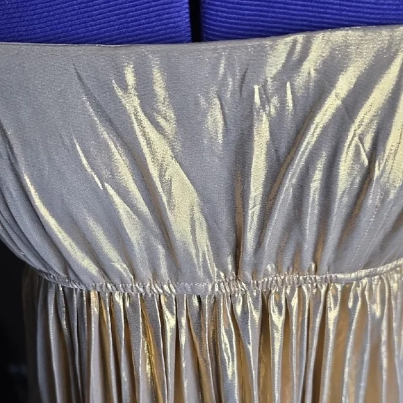 Vici Gold Maxi Dress - Picture 3 of 6